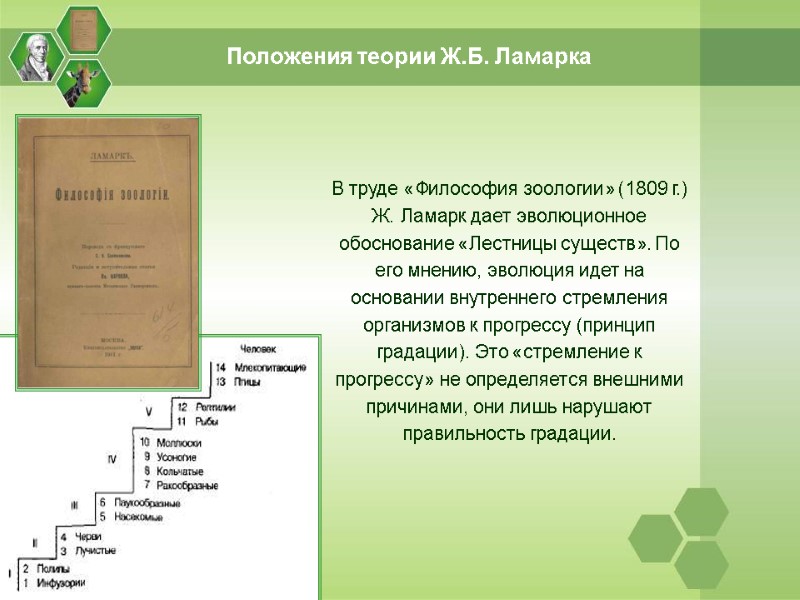 В труде «Философия зоологии» (1809 г.) Ж. Ламарк дает эволюционное обоснование «Лестницы существ». По